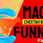 Builderall Toolbox Tips Tuesday Night Training:  Magic Funnels in Cheetah